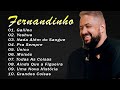 Fernandinho 2023 - Top 20 Só As Melhores Músicas Gospel, CAMINHO NO DESERTO, pra sempre....