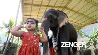 Little girl and elephant develop unlikely friendship