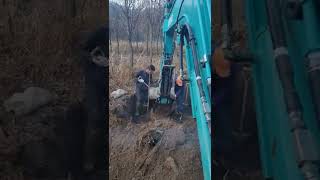 계수나무 굴취작업(칼날버켓)