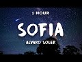 1 hour sofia  alvaro soler  1 hour loop