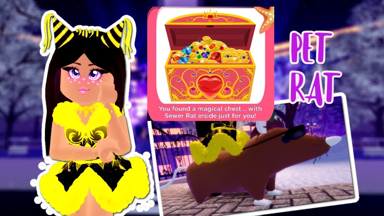 New New Years Update Where To Find The Pet Rat Royale High Update Youtube - roblox happy new year rat