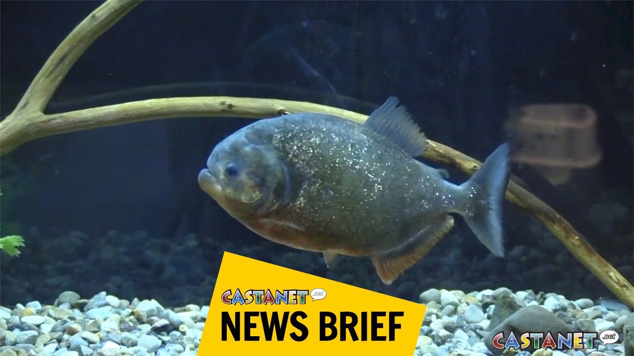 Science centre camps YouTube