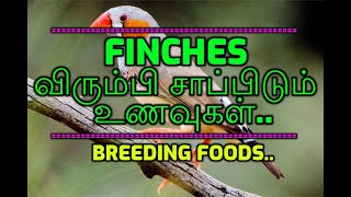 finches விரும்பி சாப்பிடும் உணவுகள்/finches food/jj paradise birds tamil/finches breeding food