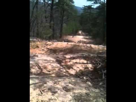 Devils Backbone in the Bluegrass