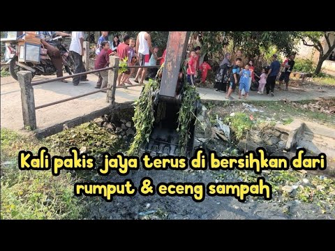 KALI PAKIS JAYA TERUS DIBERSIHKAN DARI RUMPUT & ECENG & SAMPAH❗️