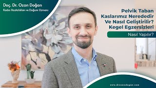 PELVİK TABAN KASLARI NEREDEDİR? NASIL GELŞTİRİLİR? KEGEL EGZERSİZLERİ NASIL YAPILIR?