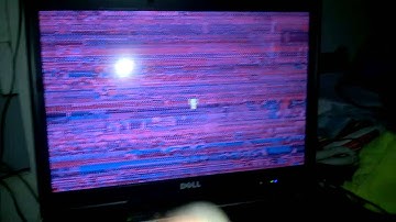 Video Failure on latitude D830