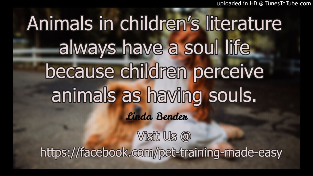 Do Animals Have Souls? YouTube
