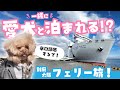 【ペット】トイプードル犬が初めてのフェリーに大興奮!!【さんふらわあ】