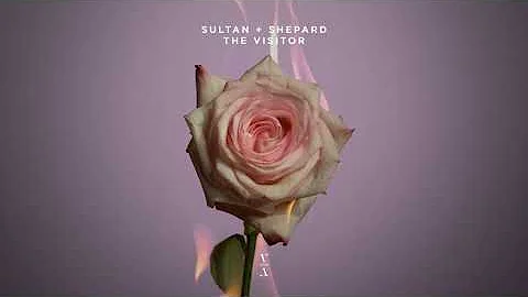 Sultan + Shepard - The Visitor