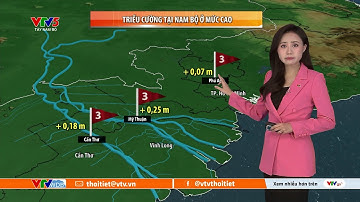 Dự báo thời tiết ngày mai 07/12/2025 | Triều cường tại Nam Bộ ở mức cao | VTVWDB