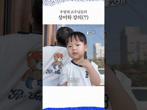 최연소 상어 박사🦈 thumbnail