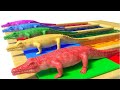 Los Animales Salvajes Y Sus Crías Se Transforman En Animales Acuaticos Parte 2 Sonidos De Animales 