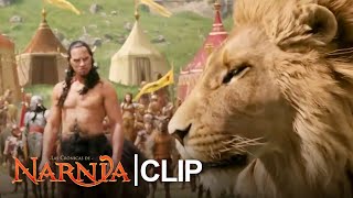 Narnia Clip Los Pevensies Llegan Al Campamento De Aslan  