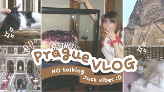 Prague - aesthetic shots, no talking