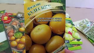 видео: А Вы знакомы с Физалисом? Обзор семян Физалиса в моей копилочке. картинка: А Вы знакомы с Физалисом? Обзор семян Физалиса в моей копилочке.