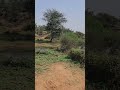 Nature View 🤩🤩