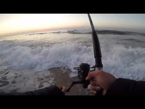 Striped Bass on Diamond jig and Teaser