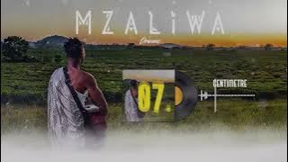 DRIEMO - Centimeter ( audio Visualizer). #Mzaliwa