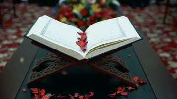 تلاوة هادئة -إنما يستجيب الذين يسمعون