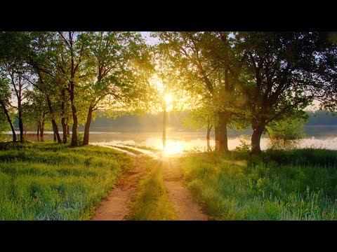 Velune, Медитация 1 час - Медитация 1 час