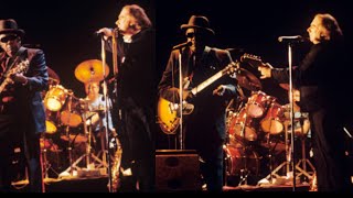 It Serves me right to Suffer (John Lee Hooker &amp; Van Morrison)