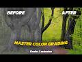 Master Color Grading ( Under 2 minutes ) | CapCut color grading