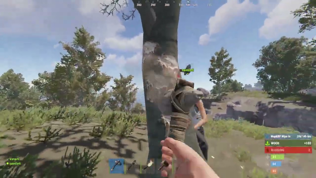 Survival together in Rust