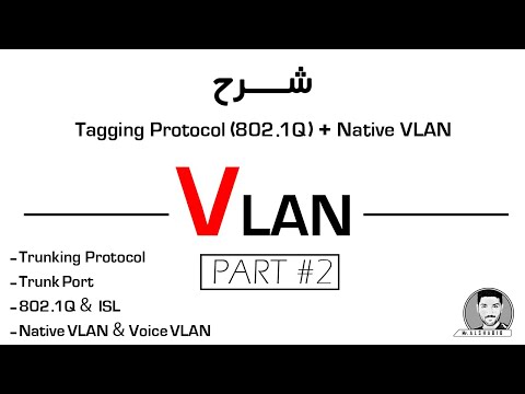 CCNA 200-301 || (2/3) Native VLAN + 802.1Q شرح بروتوكول