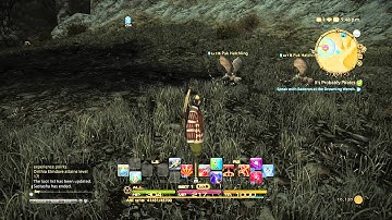 Final Fantasy XIV A Realm Reborn PS4 - Sastasha dungeon, Archer gameplay 02