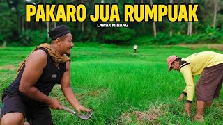 PAKARO JUA RUMPUIK #lawakminang #komedi 