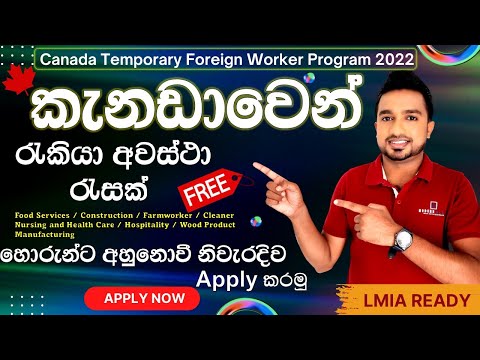 Canada Temporary Foreign Worker Program 2022| Canada Jobs sinhala| LMIA Ready| Teddyvlogs