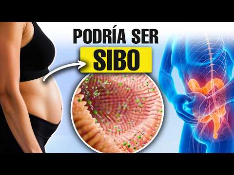 Do you suffer from bloating and no one tells you why? - SIBO: Everything you need to know