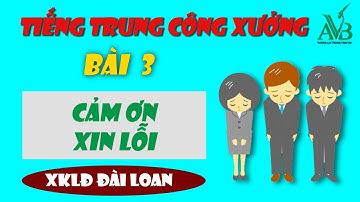 Bài 3: Cảm ơn, xin lỗi bằng tiếng trung|tiếng trung công xưởng|AVB quốc tế
