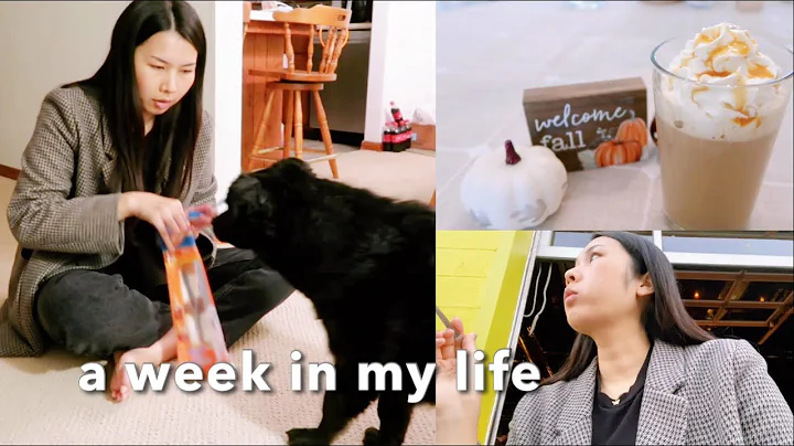 a week in my life | video shooting, Pathos birthda...