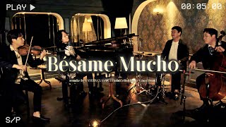 Bésame Mucho (Live)🍸Smooth \u0026 Sentimental (Violin,Cello \u0026Piano +Jazz Drum)