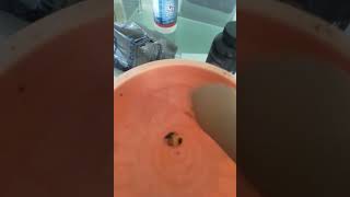 #minecraft  remolino de agua