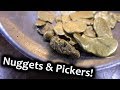 Enormous! Gold from the Fraser! (Nuggets and Pickers)