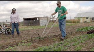 Manage Weeds on Your Farm: Hand Tools in the Market Garden at Terra Preta Farm