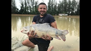 Платная рыбалка в тайланде 2017. Сиамский карп 20кг. Mottomo compacto