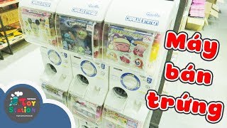 Săn trứng bất ngờ từ máy bán trứng tự động Nhật Bản ToyStation 212