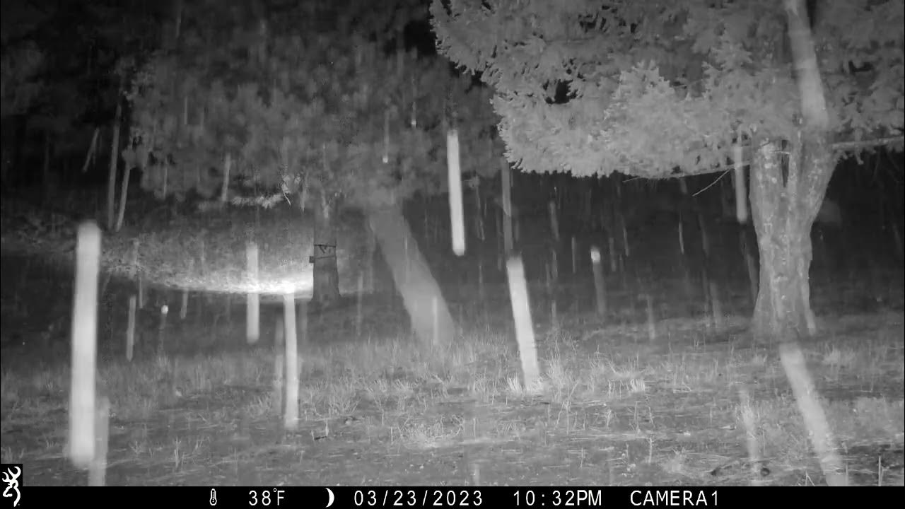 Long range view of the big one! YouTube