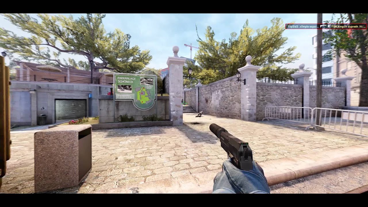 FACEIT League 2015 Stage 2: s1mple vs. TSM