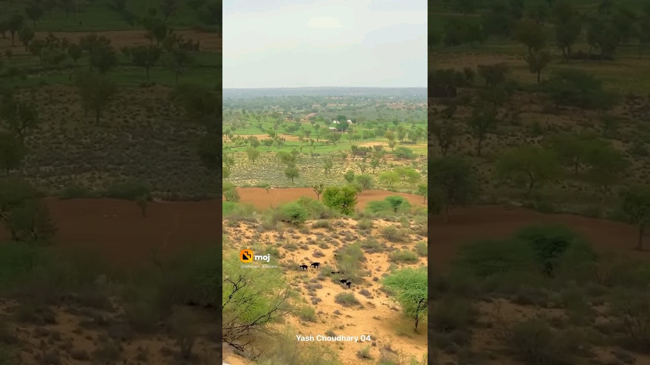 Gaon ka jeevan 😊😊