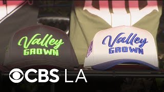 San Fernando Valley residents celebrate 818 Day