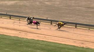 Mt-Gambier-05022016-Race-12