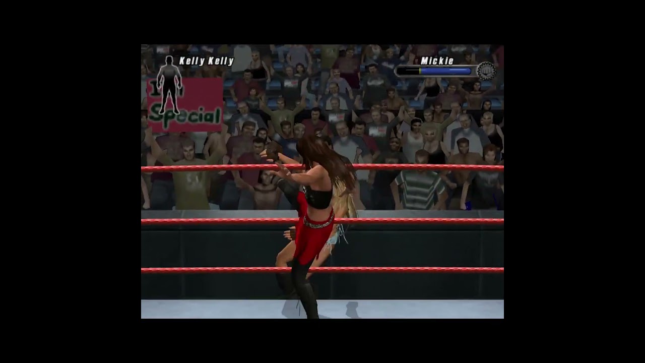 Kelly Kelly vs. Mickey James - clip 8