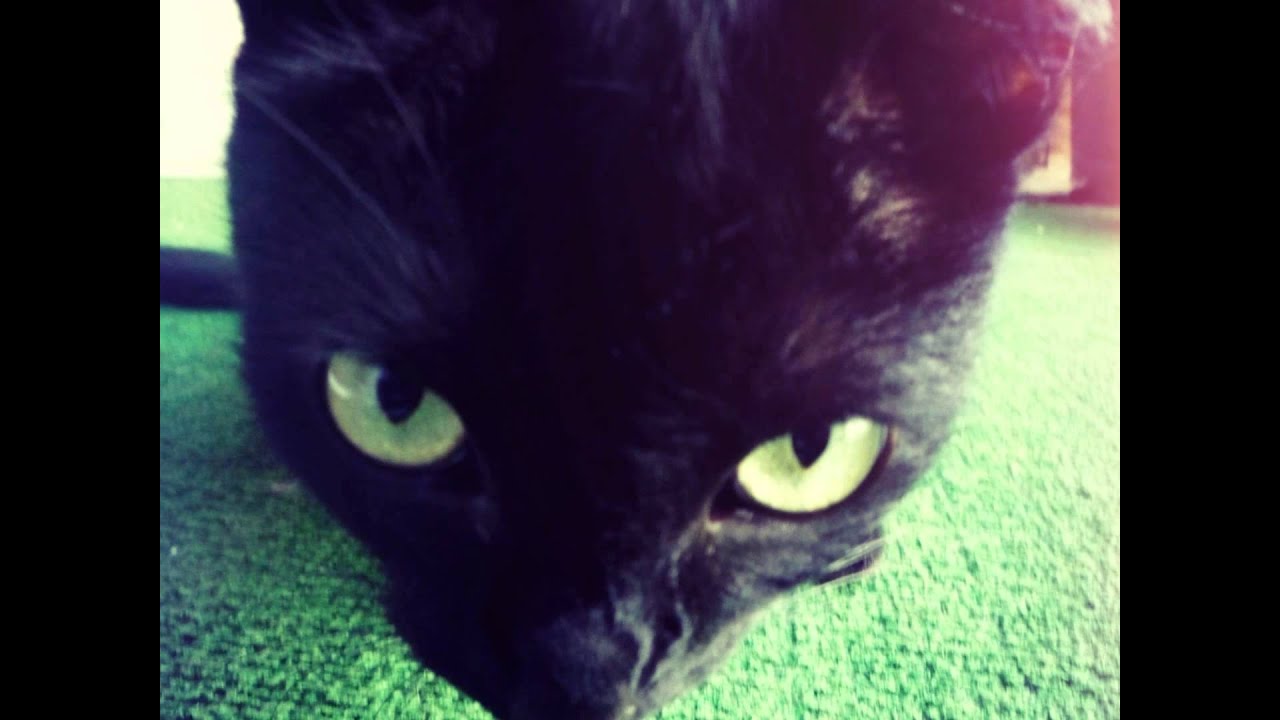 Grem - ZOŁZY (prod. Hakim)