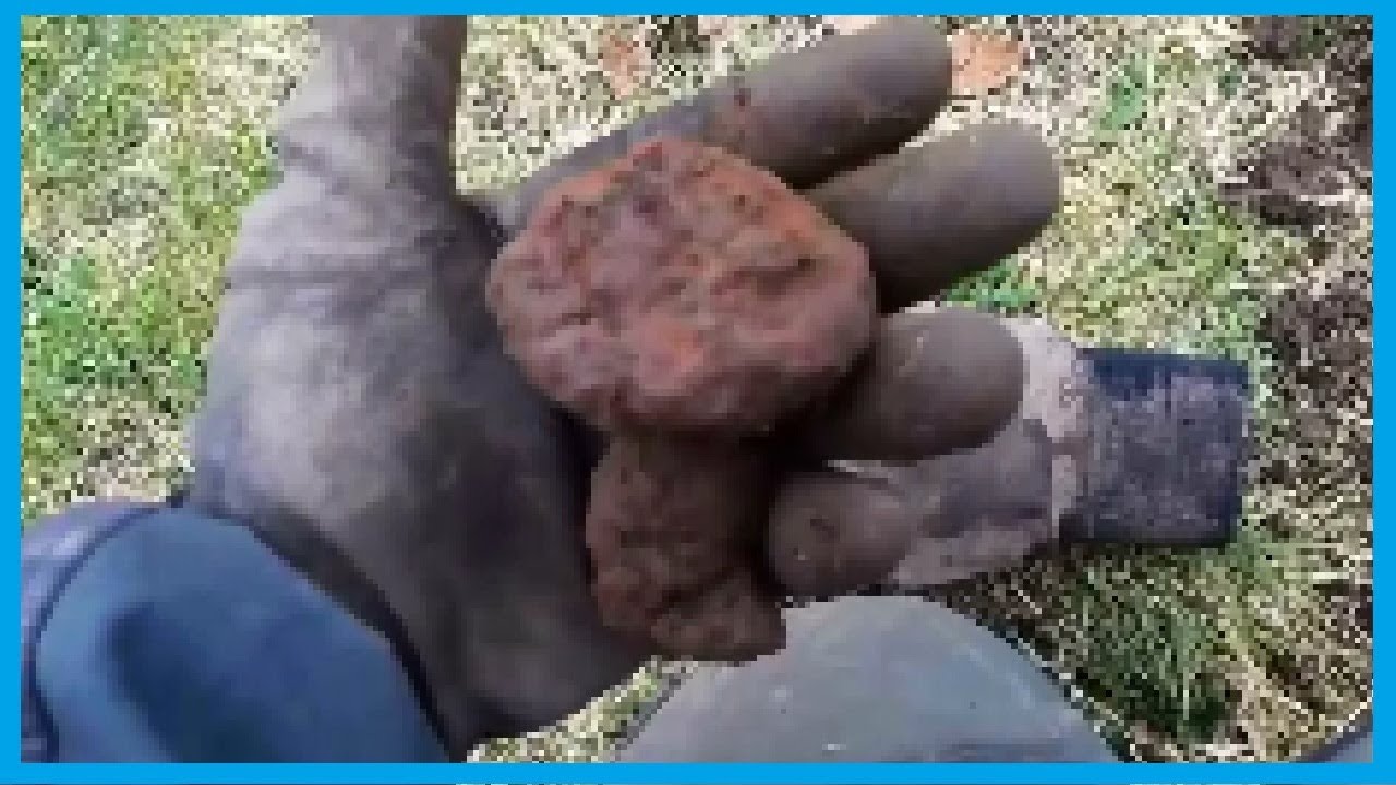 Metal Detecting ancient iron signals and some ammunition on an 18th Century field bottle digging sites