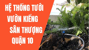 Lắp Đặt Hệ Thống Tưới Tự Động Cho Vườn Kiểng Lá Trên Sân Thượng Quận 10 | Thagi Garden